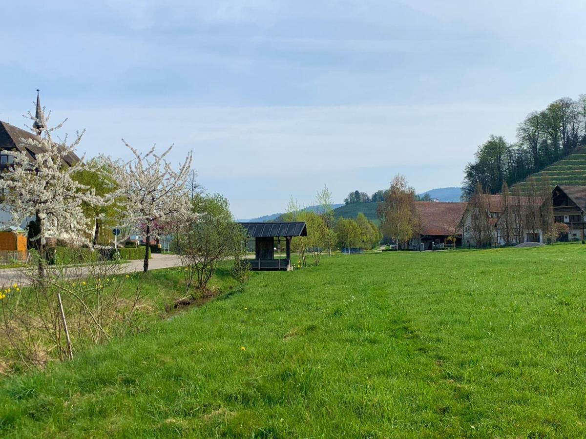 Winzerhof Maennle Leilighet Oberkirch  Eksteriør bilde