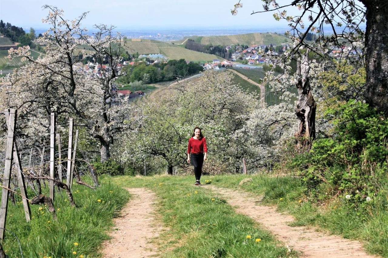 Winzerhof Maennle Leilighet Oberkirch  Eksteriør bilde
