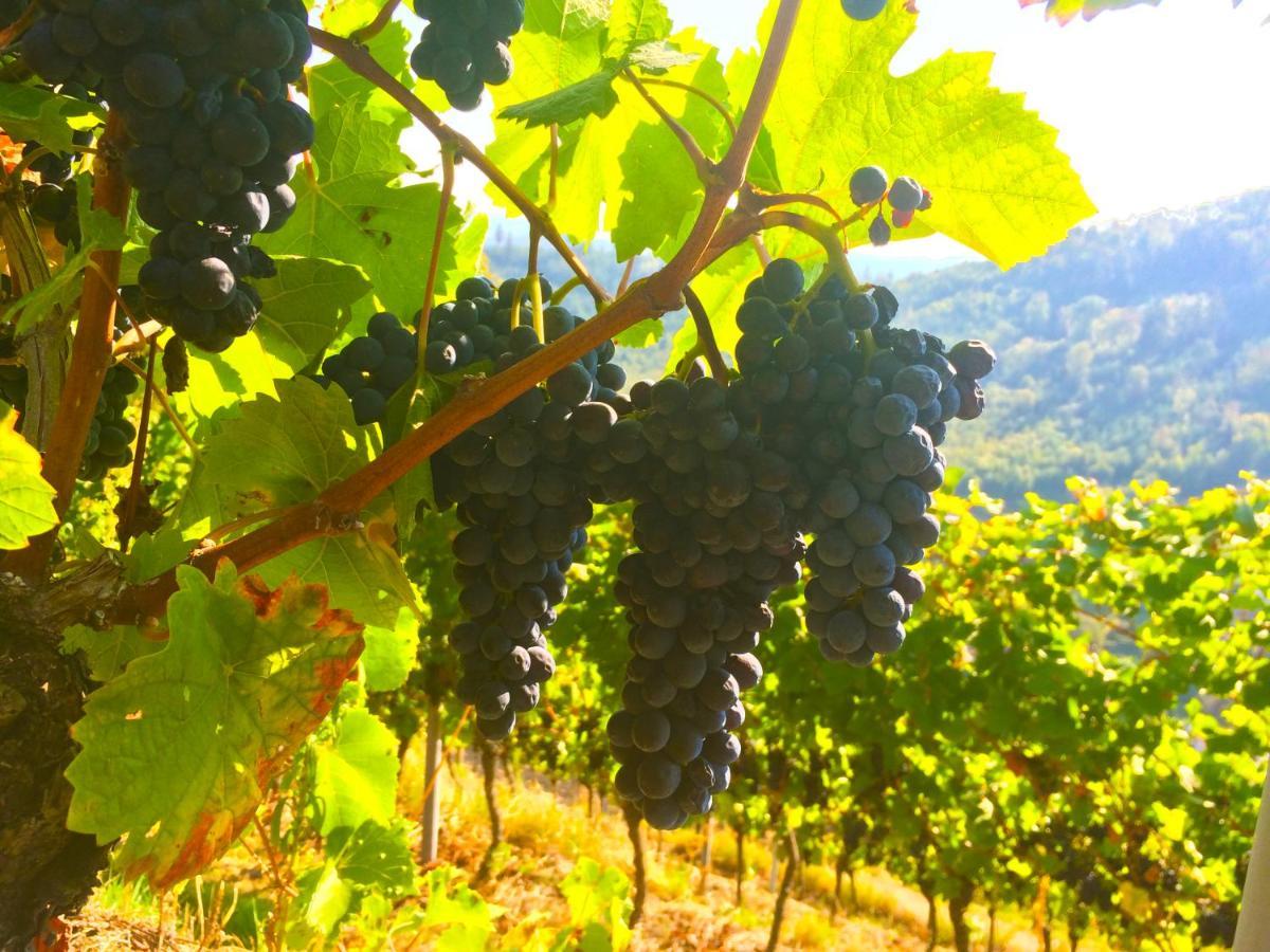 Winzerhof Maennle Leilighet Oberkirch  Eksteriør bilde